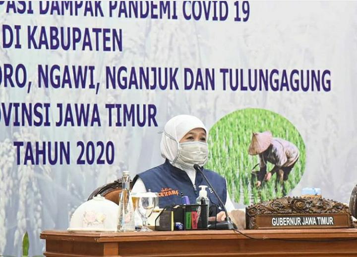 Gubernur Jawa Timur, Khofifah Indar Parawansa minta enam kabupaten di Jatim tanam padi