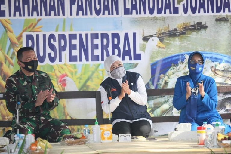 Gubernu Jawa Timur, Khofifah Indar Parawansa