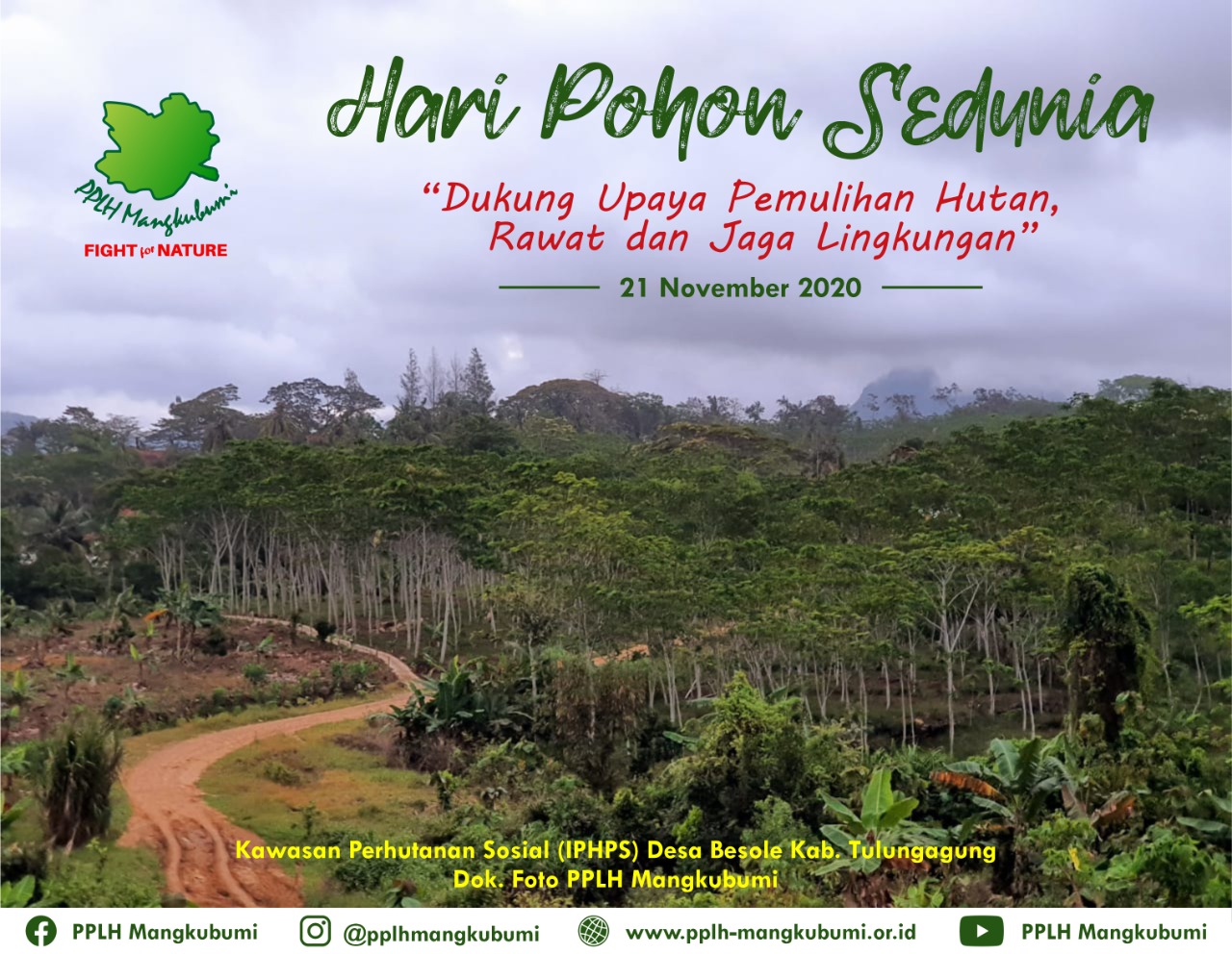 Peringatan Hari Pohon Sedunia, PPLH Mangkubumi: Jangan Rusak Hutan!