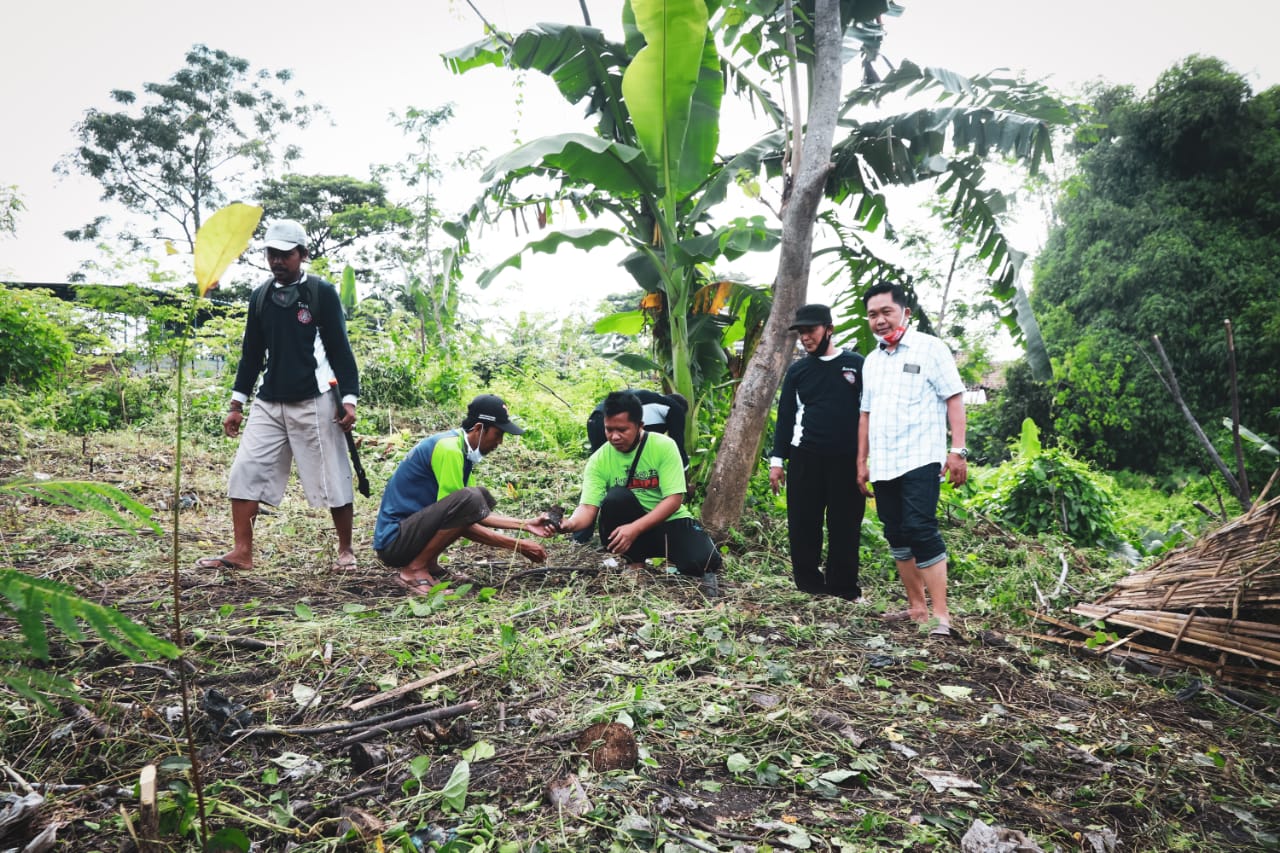 Program Kampung Iklim (Proklim) Desa Sebaung, Kecamatan Gending, Kabupaten Probolinggo mengadakan penanaman pohon di areal jalan dan sepadan sungai, Jumat (5/3/2021).