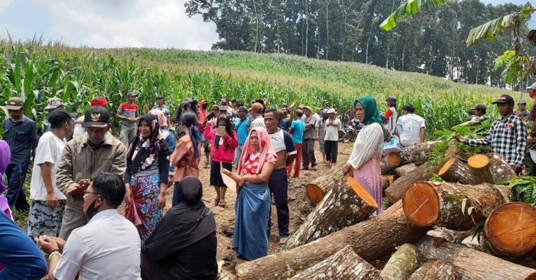 Lagi! Perhutani Intimidasi Petani Jember