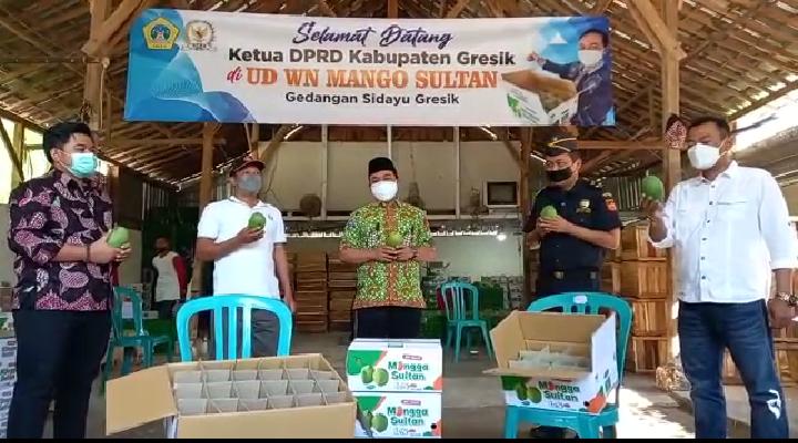 Mangga Hasil Panen Petani Desa Gedangan Gresik Didorong Rambah Pasar Ekspor