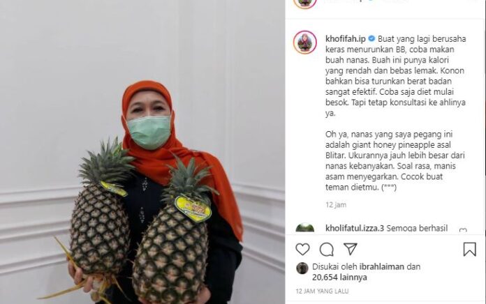 Khofifah Kenalkan Nanas Jumbo Asal Blitar Melalui Medsos