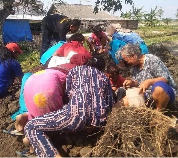 Warga Lamongan Temukan Harta Karun