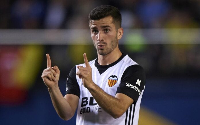 Jose gaya