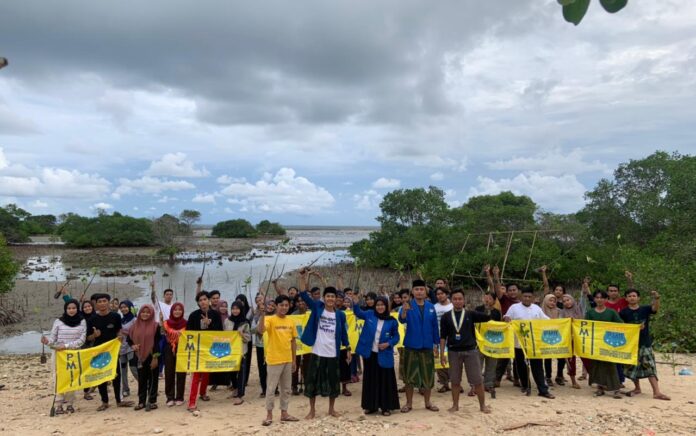 Peduli Lingkungan, PMII UTM Tanam 100 Mangrove