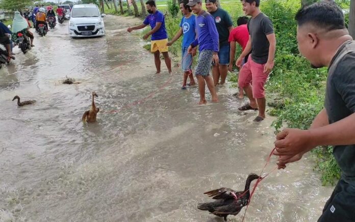 Protes Penanganan Banjir, Pemuda Lamongan Giring Bebek ke Jalan