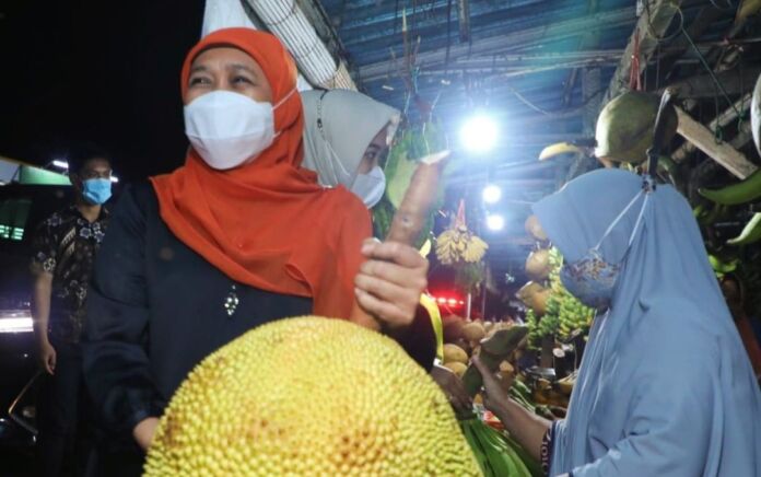 Gubernur Khofifah Kenalkan Nangka Salak Khas Lumajang