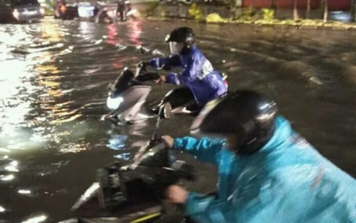 Biang Banjir Kabupaten Jember