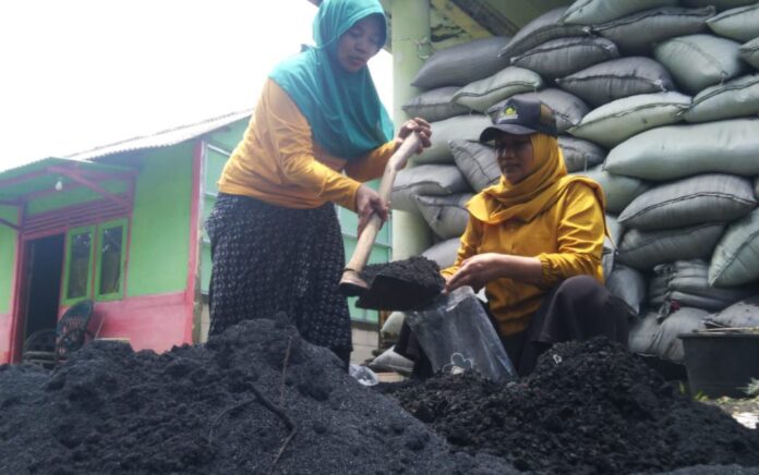 Omset Menjanjikan, Warga di Bojonegoro Olah Limbah Peternakan Jadi Pupuk Organik