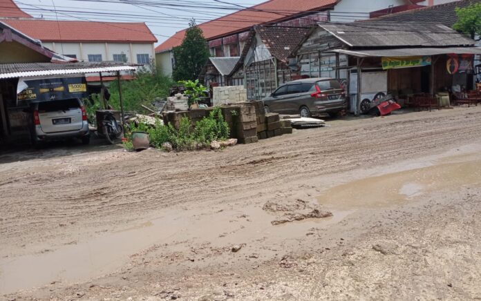 Dampak Jembatan Putus, Jalan Alternatif di Lamongan ini Semakin Rusak