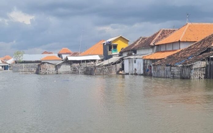 Banjir Rob di Kota Probolinggo Tahun ini Paling Parah