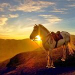 Demi Matahari Terbit di Gunung Bromo, Wisatawan Rela Mengantri
