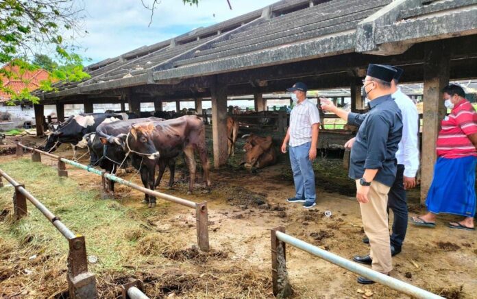 RPH Surabaya: Kami Dengan Tegas Menolak Hewan dari Empat Wilayah