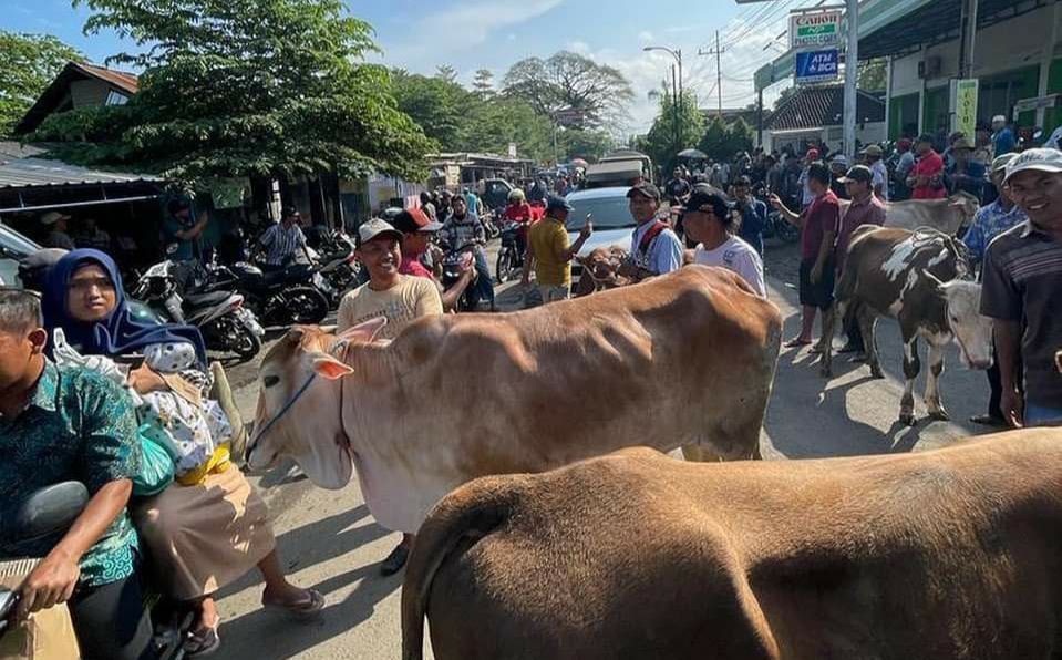 Imbas PMK, Pedagang Sapi di Grati Jualan di Jalanan