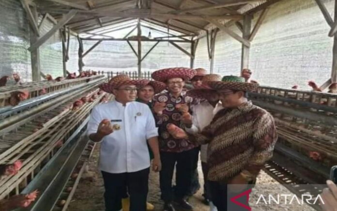 Kembangkan Usaha Peternakan Berbasis Pesantren