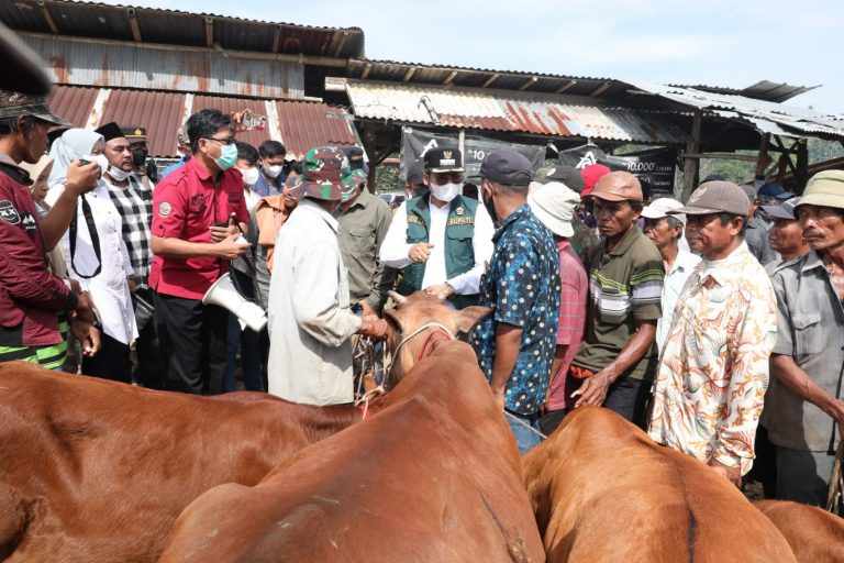 Imbas PMK, Harga Sapi di Bangkalan Anjlok 30 Persen