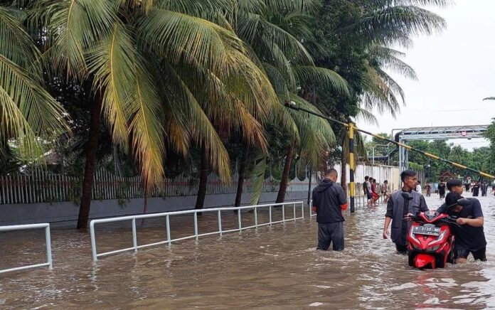 BPBD Probolinggo: 11 Desa Terdambak Banjir