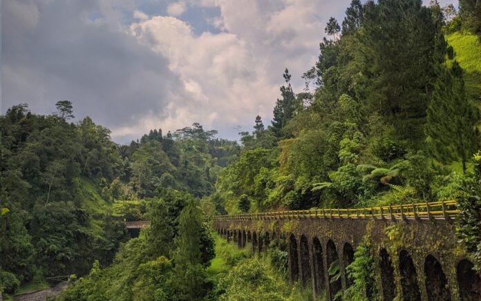 Penasaran Lokasi KKN Desa Penari, Empat Lokasi Ini Kerap Disebut