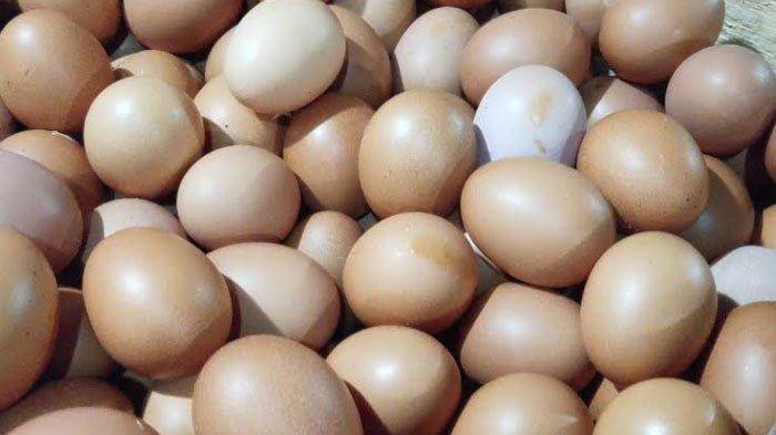 Harga Telur di Sampang Melonjak