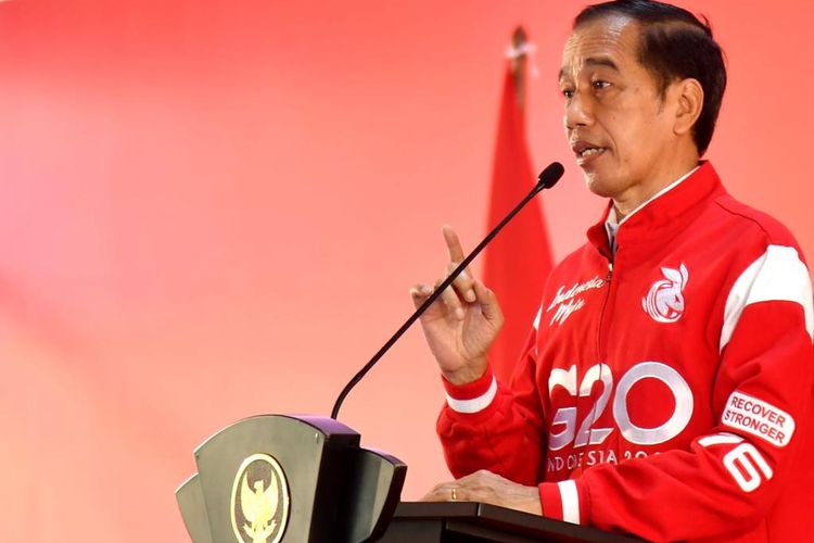 Presiden Jokowi: Kalau Dikit-dikit Demo, Sulit Bangun Negara