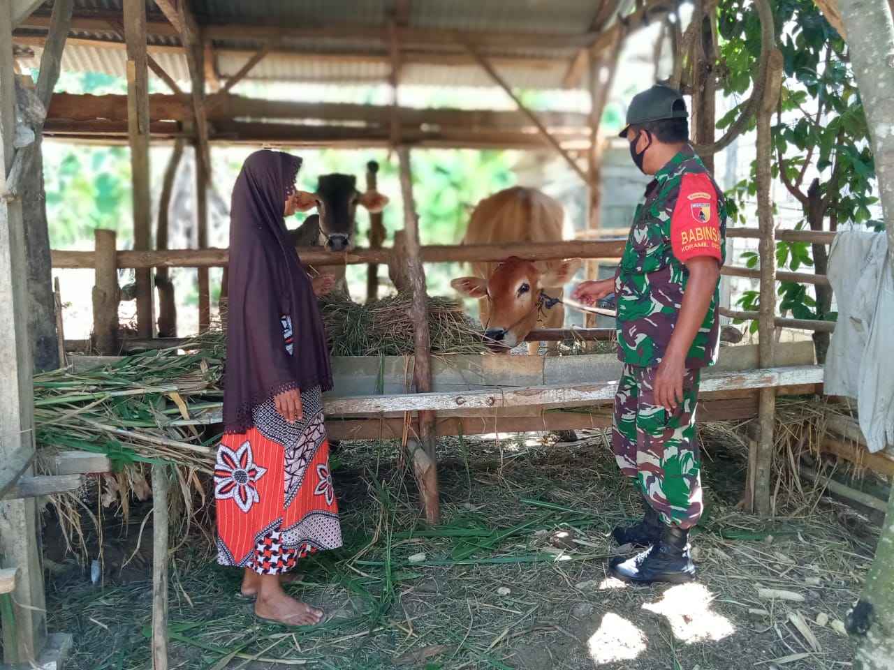 TNI di Gresik Ingatkan Peternak Bahaya PMK