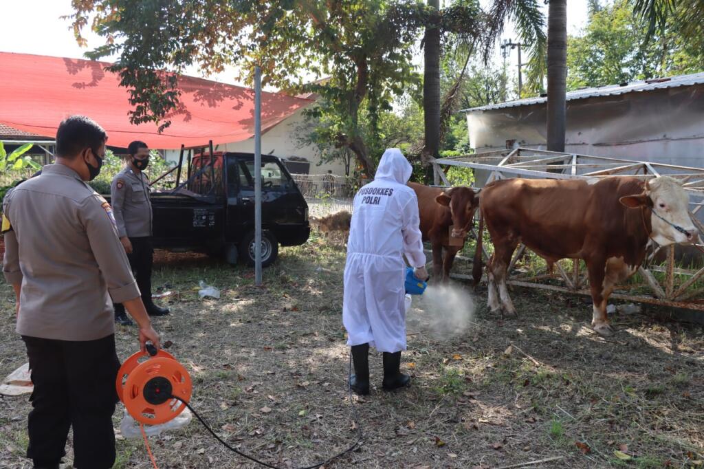 Jurus Polisi Cegah PMK di Gresik, Kandang Hewan Disemprot Disinfektan