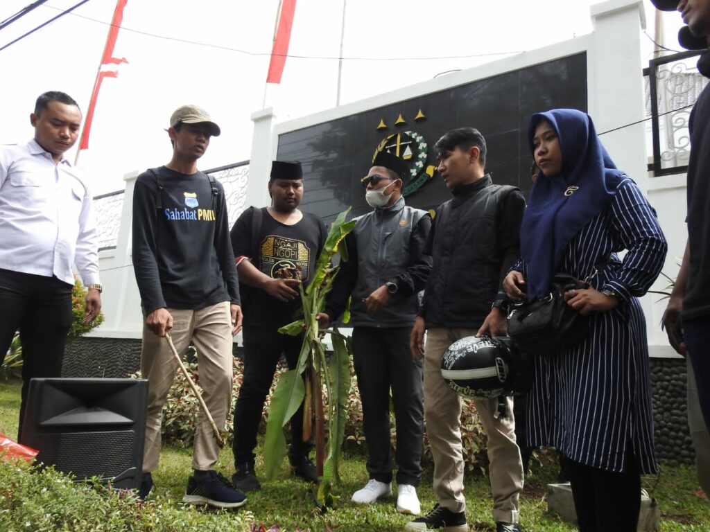 Datang dengan Pohon Pisang, PMII Lumajang Tuntut Penetapan Tersangka Maling Uang Negara