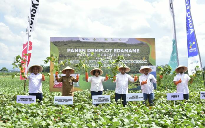 Jangkau Komoditi Baru, Project Agro Solution Petrokimia Gresik Sentuh Petani Edamame di Jember