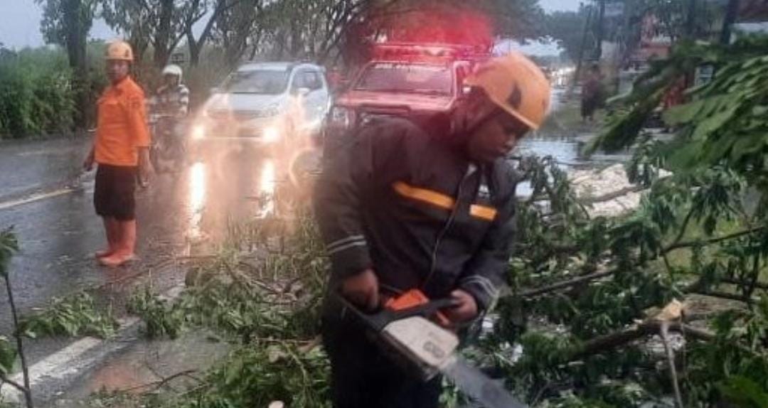 Musim Penghujan, Masyarakat Diminta Jangan Berteduh di Bawah Pohon