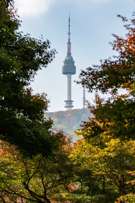 Warna-warni Musim Gugur Hiasi Kota Seoul