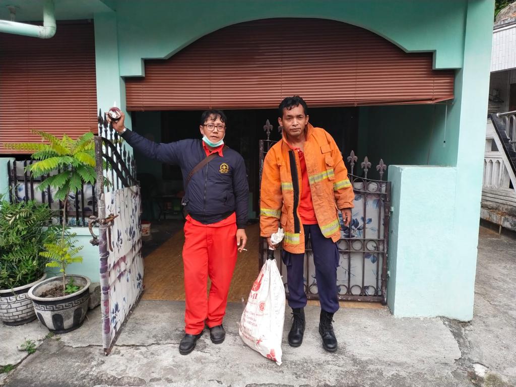 Makan Ayam Milik Warga, Ular Piton 4 Meter Dievakuasi Petugas Damkar Gresik