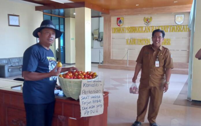 Harga Tomat Anjlok, Aliansi Petani Bawa Tomat Ke Gedung DPRD Jember