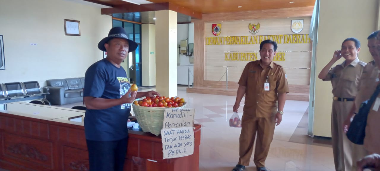 Harga Tomat Anjlok, Aliansi Petani Bawa Tomat Ke Gedung DPRD Jember