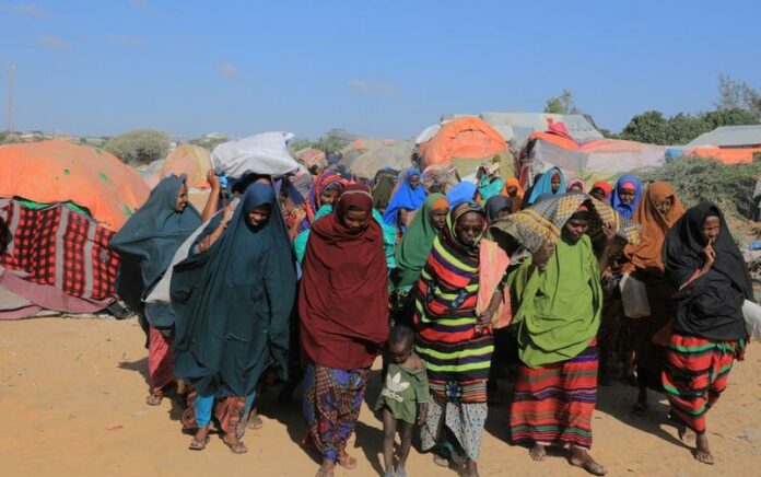 WFP Peringatkan Kekeringan Picu Kerawanan Pangan dan Malnutrisi Akut di Wilayah Tanduk Afrika