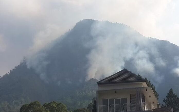 3 Gunung di Malang untuk Merayakan Tahun Baru dengan Mendaki