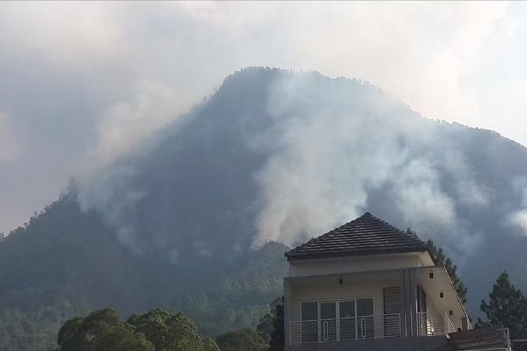 3 Gunung di Malang untuk Merayakan Tahun Baru dengan Mendaki