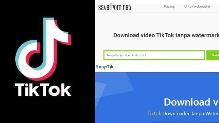 Begini 4 Cara Download Video TikTok Tanpa Watermark