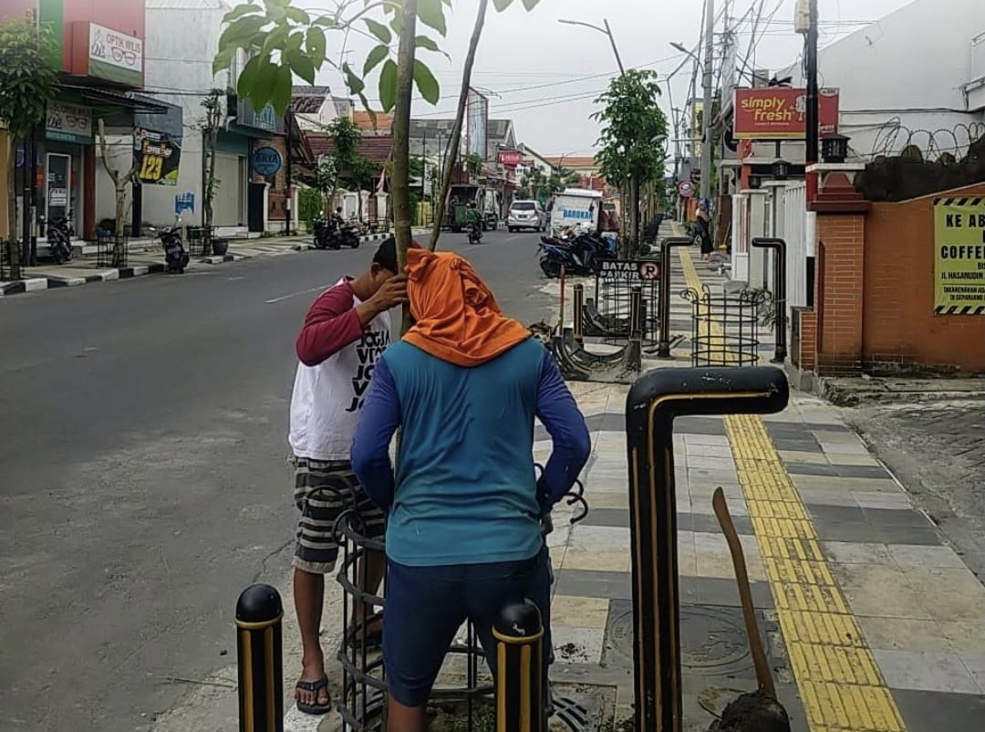 Pertahankan Lingkungan Asri, Pemkab Bojonegoro Ganti Pohon-pohon Mati 