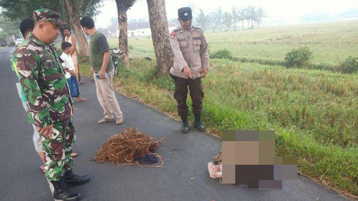 Pria Berkumis Ditemukan Tewas Bersimbah Darah di Pinggir Jalan Jember