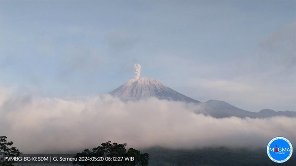 Erupsi Lagi, Gunung Semeru Dua Kali Lontarkan Abu Vulkanik Pagi Ini