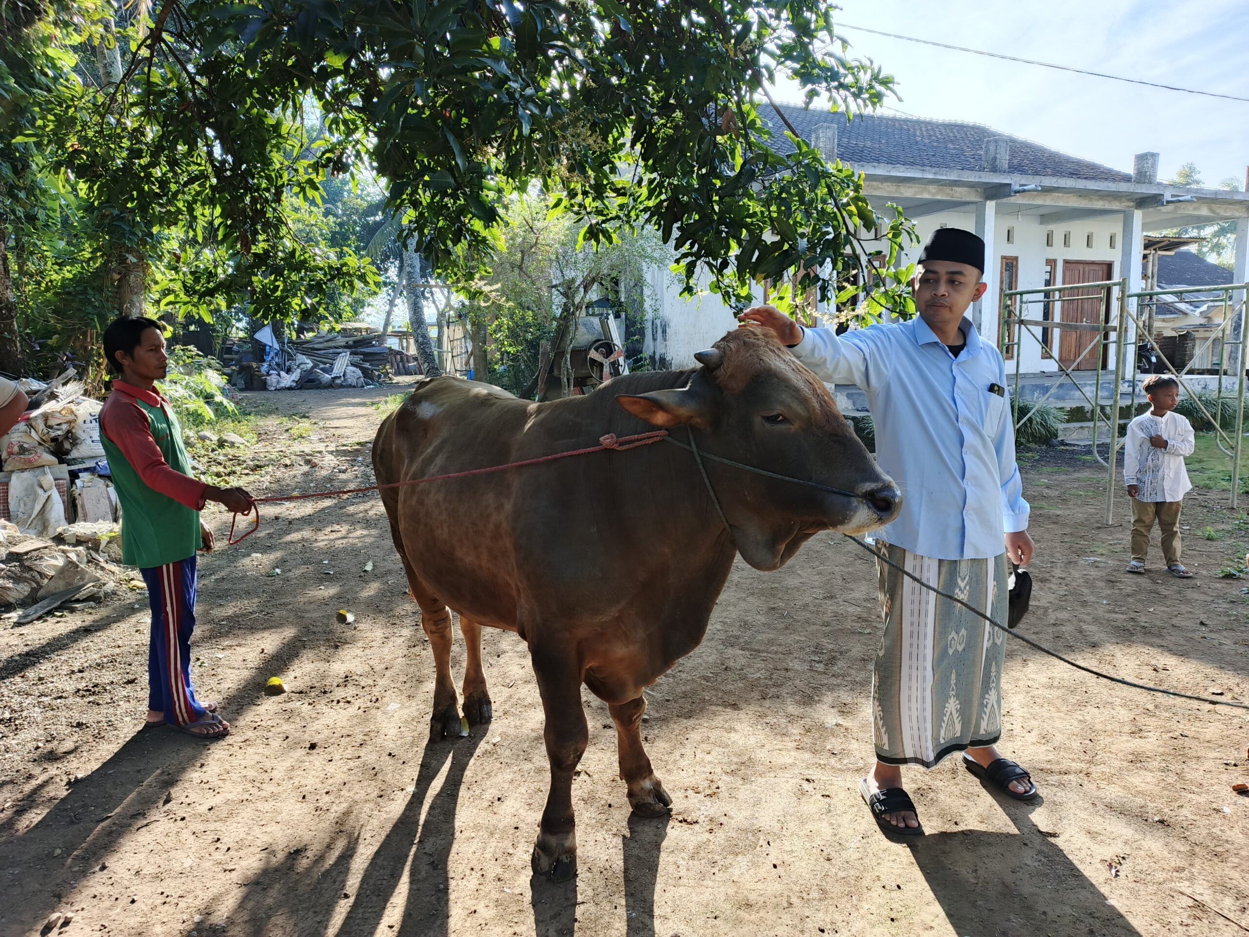 Peringati Hari Raya Idul Adha, Kapolri Berikan Sapi Kurban untuk Pondok Pesantren Miftahul Ulum Sucolor Bondowoso