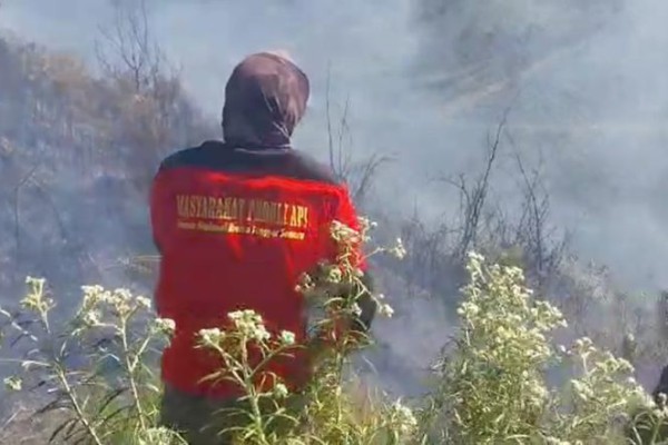 Gunung Bromo Kebakaran Lagi, Padang Savana Bukit Naga Dilalap Si Jago Merah Sejak 2 Hari Lalu