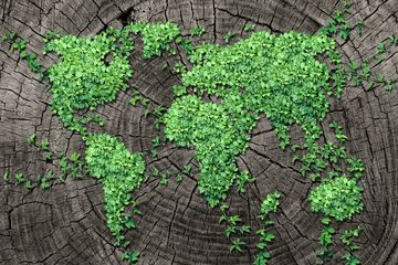 Transformasi Pembangunan Melalui Konsep "Green Economy" Menuju Indonesia Emas 2045