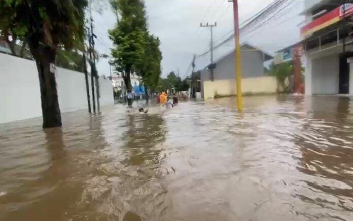 Hujan Deras di Jember: Empat Kecamatan Terendam Banjir, Warga Diminta Waspada